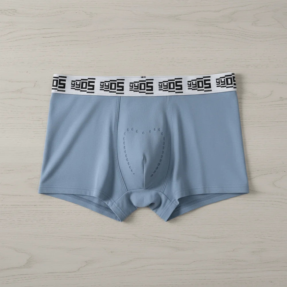 Lingerie Mesh Men's Flat Panties Traceless Ice Silk Shorts Boxers Mid Waist Underpants Underwear for Man Male