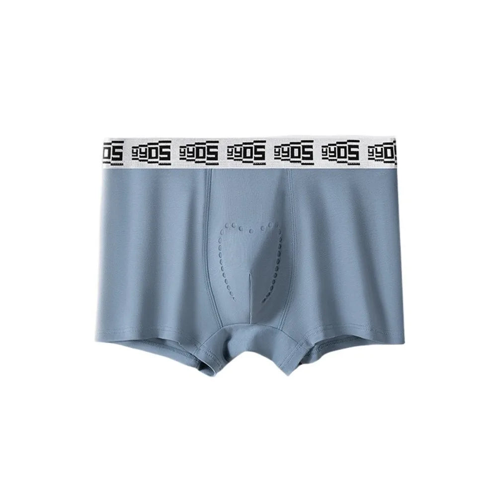 Lingerie Mesh Men's Flat Panties Traceless Ice Silk Shorts Boxers Mid Waist Underpants Underwear for Man Male
