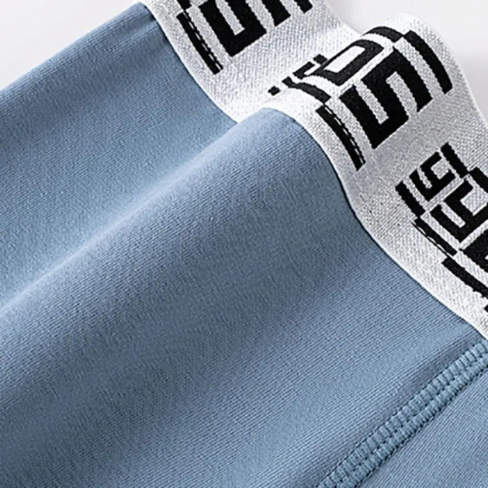 Lingerie Mesh Men's Flat Panties Traceless Ice Silk Shorts Boxers Mid Waist Underpants Underwear for Man Male
